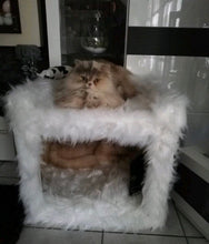 Laden Sie das Bild in den Galerie-Viewer, Katzenhöhle Coopi, Yola, Mia, Lilly & Yoshi