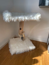 Laden Sie das Bild in den Galerie-Viewer, Mini - Naturkratzbaum Mellow