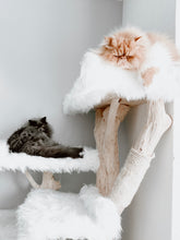 Laden Sie das Bild in den Galerie-Viewer, Naturkratzbaum Coopi, Yola, Mia, Lilly & Yoshi