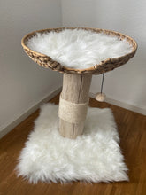 Laden Sie das Bild in den Galerie-Viewer, Mini - Naturkratzbaum Joko & John