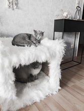 Laden Sie das Bild in den Galerie-Viewer, Katzenhöhle Coopi, Yola, Mia, Lilly & Yoshi