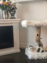 Laden Sie das Bild in den Galerie-Viewer, Mini - Naturkratzbaum Mellow