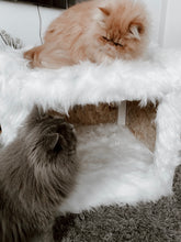 Laden Sie das Bild in den Galerie-Viewer, Katzenhöhle Lanny Cooper