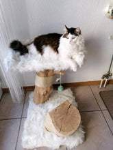 Laden Sie das Bild in den Galerie-Viewer, Mini - Naturkratzbaum Neo & Lasse