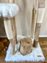 Laden Sie das Bild in den Galerie-Viewer, Naturkratzbaum Anton & Theo
