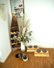 Laden Sie das Bild in den Galerie-Viewer, 2x 2er Fressbars Rocky, Sammy, Flöckchen & Polina