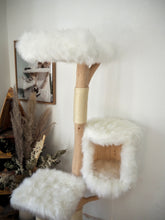 Laden Sie das Bild in den Galerie-Viewer, Naturkratzbaum Mucki & Raudy