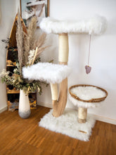 Laden Sie das Bild in den Galerie-Viewer, Naturkratzbaum Kiwi