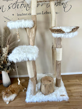 Laden Sie das Bild in den Galerie-Viewer, Naturkratzbaum Anton & Theo