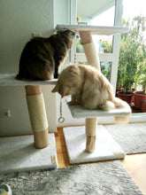 Laden Sie das Bild in den Galerie-Viewer, Naturkratzbaum Lilly & Jeany