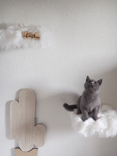 Laden Sie das Bild in den Galerie-Viewer, 3 Komponenten Set Lou & Levi