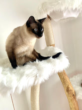 Laden Sie das Bild in den Galerie-Viewer, Naturkratzbaum Felix, Filou, Loui & Leo