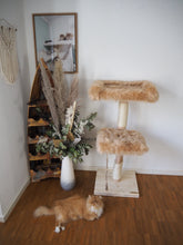 Laden Sie das Bild in den Galerie-Viewer, Naturkratzbaum Hoppel