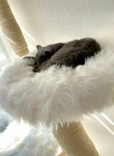 Laden Sie das Bild in den Galerie-Viewer, Naturkratzbaum Mio & Django