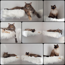 Laden Sie das Bild in den Galerie-Viewer, 3 Komponenten Set Momo & Luna