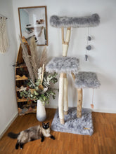 Laden Sie das Bild in den Galerie-Viewer, Naturkratzbaum Tabby & Quinn
