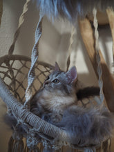 Laden Sie das Bild in den Galerie-Viewer, Naturkratzbaum Minnie, Pieps, Hector, Mia, Lias & Amelie