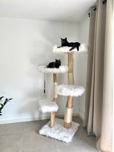 Laden Sie das Bild in den Galerie-Viewer, Naturkratzbaum Simba & Rocky