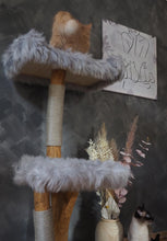 Laden Sie das Bild in den Galerie-Viewer, Naturkratzbaum Minnie, Pieps, Hector, Mia, Lias & Amelie