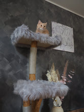 Laden Sie das Bild in den Galerie-Viewer, Naturkratzbaum Minnie, Pieps, Hector, Mia, Lias & Amelie