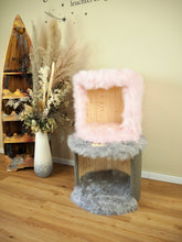 Laden Sie das Bild in den Galerie-Viewer, Doppelkatzenhocker Sonny & Bienchen