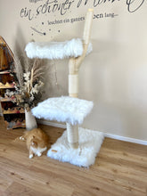 Laden Sie das Bild in den Galerie-Viewer, Naturkratzbaum Bella