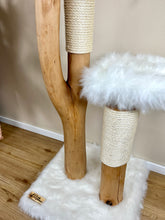 Laden Sie das Bild in den Galerie-Viewer, Naturkratzbaum Minosch & Travis