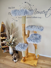 Laden Sie das Bild in den Galerie-Viewer, Naturkratzbaum Willi, Alischa, Ayla & Aslan