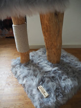 Laden Sie das Bild in den Galerie-Viewer, Naturkratzbaum Minnie, Pieps, Hector, Mia, Lias & Amelie