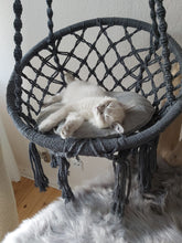 Laden Sie das Bild in den Galerie-Viewer, Naturkratzbaum Amy & Luna