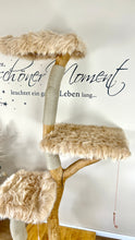 Laden Sie das Bild in den Galerie-Viewer, Naturkratzbaum Coco & Jambo