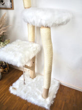 Laden Sie das Bild in den Galerie-Viewer, Naturkratzbaum Mio & Django