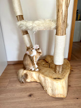 Laden Sie das Bild in den Galerie-Viewer, Naturkratzbaum Minnie, Pieps, Mia, Hector, Lias & Amelie