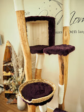 Laden Sie das Bild in den Galerie-Viewer, Naturkratzbaum Welina, Kimba, Kitty & Levi