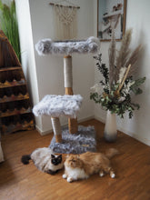 Laden Sie das Bild in den Galerie-Viewer, Naturkratzbaum Minnie, Pieps, Hector, Mia, Lias & Amelie