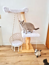 Laden Sie das Bild in den Galerie-Viewer, Naturkratzbaum Lio, Fly, Tiger & Cruella