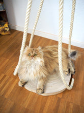 Laden Sie das Bild in den Galerie-Viewer, Baumscheibenschaukel