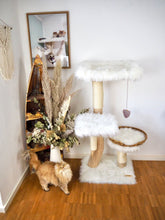 Laden Sie das Bild in den Galerie-Viewer, Naturkratzbaum Kiwi