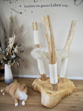 Laden Sie das Bild in den Galerie-Viewer, Naturkratzbaum Minnie, Pieps, Mia, Hector, Lias & Amelie