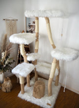 Laden Sie das Bild in den Galerie-Viewer, Naturkratzbaum Olli & Willi