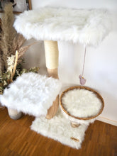 Laden Sie das Bild in den Galerie-Viewer, Naturkratzbaum Kiwi