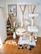 Laden Sie das Bild in den Galerie-Viewer, Naturkratzbaum Zola, Elmo, Tilda, Baily, Simba & Birne