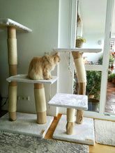 Laden Sie das Bild in den Galerie-Viewer, Naturkratzbaum Lilly & Jeany