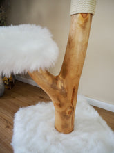 Laden Sie das Bild in den Galerie-Viewer, Naturkratzbaum Scharik