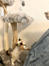 Laden Sie das Bild in den Galerie-Viewer, Naturkratzbaum Tabby & Quinn