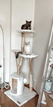 Laden Sie das Bild in den Galerie-Viewer, Naturkratzbaum Bonny & Minny