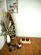 Laden Sie das Bild in den Galerie-Viewer, 2er Fressbar Chai