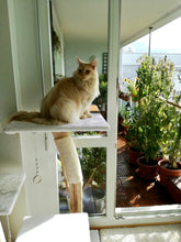 Laden Sie das Bild in den Galerie-Viewer, Naturkratzbaum Lilly & Jeany