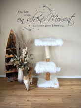 Laden Sie das Bild in den Galerie-Viewer, Naturkratzbaum Scharik