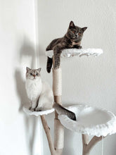 Laden Sie das Bild in den Galerie-Viewer, Naturkratzbaum Bonny & Minny